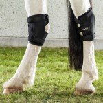 Back on Track Black Horse Hock Boots - Pair