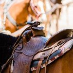 Saddle Pommel Bag - Phone Holder for Riders