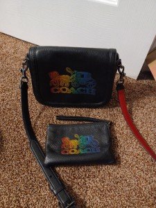 Leather Saddle Bag for Hiking and Adventure