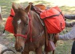 TrailMax Over-The-Saddle Pannier Bags for Hiking