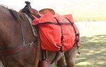 TrailMax Over-The-Saddle Pannier Bags for Hiking