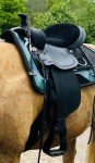 16" Black Padded Trail Saddle by Circle Y