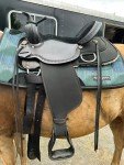 16" Black Padded Trail Saddle by Circle Y
