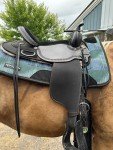 16" Black Padded Trail Saddle by Circle Y
