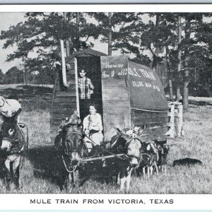 Vintage Mule Train Transport Wagon for Camping