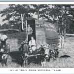 Vintage Mule Train Transport Wagon for Camping