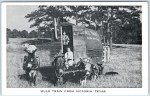 Vintage Mule Train Transport Wagon for Camping