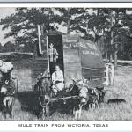 Vintage Mule Train Cart for Camping Adventures