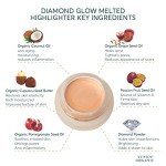 Vegan Organic Diamond Glow Cream Highlighter