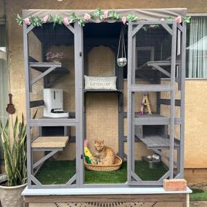 Aivituvin Outdoor Cat House with Large Door
