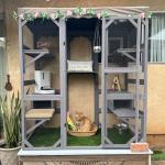 Aivituvin Outdoor Cat House with Large Door