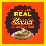 REESE'S Peanut Butter No Bake Bars Mix 17.3 oz