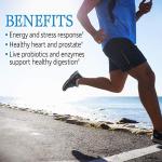 Garden of Life Raw One Men's Multivitamin Capsules