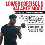 Test X180 Max Gummies - Boost Testosterone & Vitality