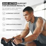 DMoose Testosterone Boost: Strength and Recovery Support