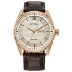 Citizen Men's Eco-Drive Watch with Brown Leather Strap