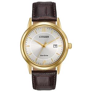 Citizen Men's Eco-Drive Leather Strap Watch