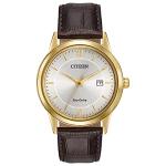 Citizen Men's Eco-Drive Leather Strap Watch