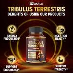 Tribulus Terrestris Supplement with Ashwagandha & Herbs