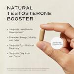 Testosterone Boosting Libido Supplement with Natural Ingredients