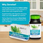 Zenwise Digestive Enzymes for Gut Health Support