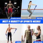 Heavy Resistance Bands Set for Men - 350/450lbs