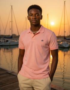 AEROPOSTALE Men's Pink Dream Polo - Small