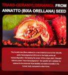 Clarusph Energy Supplement Geranylgeraniol GG 300mg, Trans-Geranylgeraniol Supplement with Vitamin E for CoQ10, Annatto-Derived GG - Energy Supplements for Men, 120 Softgels