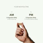 CASIDOR - Dominus MULTIVITAMINS for Men + Performance Formula | AM + PM | – 30 Days Serving | Energy, Performance, Recovery & Sleep* | with CoQ10, PQQ, KSM-66®, Magnesium & Zinc Bisglycinate