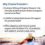 Probiotics for Prostate & Digestive Health – 60 Veggie Caps