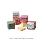 Fossil Men's Minimalist Quartz Silver and Leather Watch