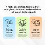 Qivaro International 60 Liquid filled Multivitamin capsules, Vitamin B-Complex, Vitamin D3, Zinc, CoQ10, Panax Ginseng, Multivitamin Minerals, Daily Mineral Support , 42-Fruit & Veggie Herbal Blend