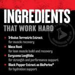 Animal Stak – Complete Natural Hormone Booster Supplement with Tribulus – Natural Testosterone Booster for Athletes – Contains Estrogen Blockers – 1 Month Cycle