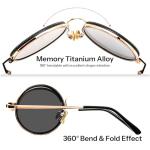 FEISEDY Adjustable Polarized Sunglasses, Foldable Lightweight Memory Titanium Alloy Frame, Stepless Light Adjustment, Steampunk Round ND Filter TAC Lens UV400 B0379