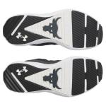 Under Armour Men's Project Rock Blood Sweat Respect 5, (002) Black/White/Stone, 12, US