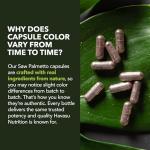 Saw Palmetto Supplement for Men’s Prostate Health