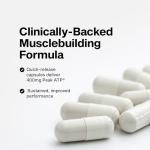 Muscletech Nitric Oxide Muscle Builder – 60 Capsules