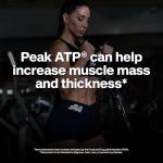 Muscletech Nitric Oxide Muscle Builder – 60 Capsules