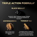 Powerful Black Shilajit Capsules for Men