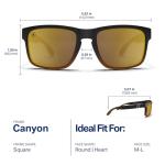 Blenders Canyon Polarized Sunglasses for Men