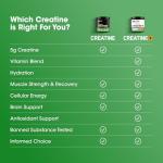 Optimum Nutrition Micronized Creatine Powder, 600g