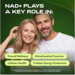 Liposomal NAD Supplement with Resveratrol – 30 Days