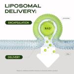 Liposomal NAD Supplement with Resveratrol – 30 Days