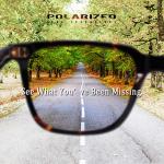 CARFIA Polarized Men's Sunglasses UV400 Protection for Driving Fishing Cool Man Acetate Shades CA5354