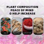 Male Enhancement Oil, Body Gel for Private Part, Men's Re-Vitalize Enlargement Cream, Enhance Size and Performance – Get Bigger Thicker and Stronger (STRENGTENING Oil)