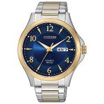 Citizen Classic Two-Tone Stainless Steel Men's Watch