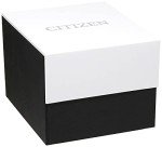 Citizen Men's Gold-tone Eco-Drive Axiom Watch