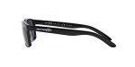 ARNETTE Polarized Sunglasses with Shiny Black Frame