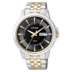 Citizen Classic Two-Tone Stainless Steel Men's Watch