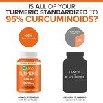 Qunol Extra Strength Turmeric Curcumin with Ginger